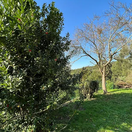 Chalet De Caldones